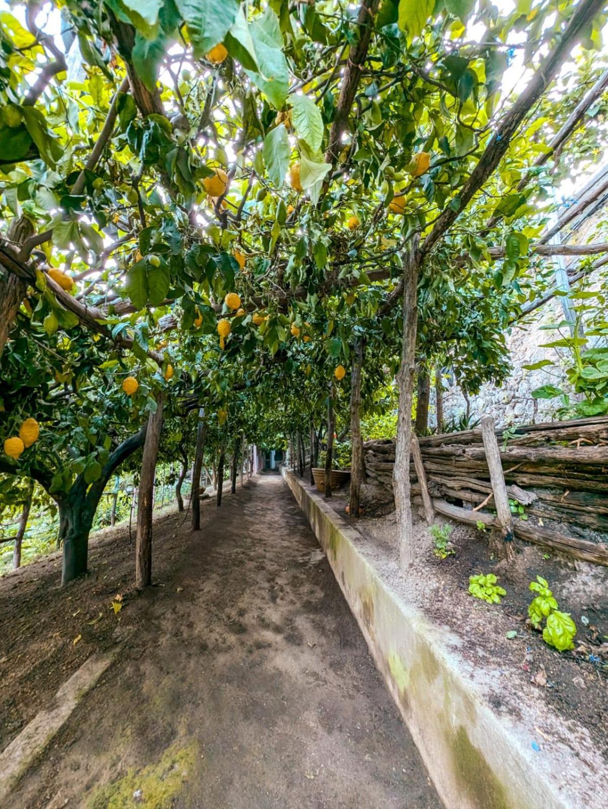 Casa Emi Daire Amalfi Dış mekan fotoğraf